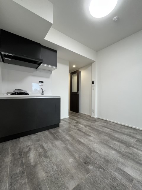 居室・リビング　５０１号室の写真です広めキッチンで使い易い