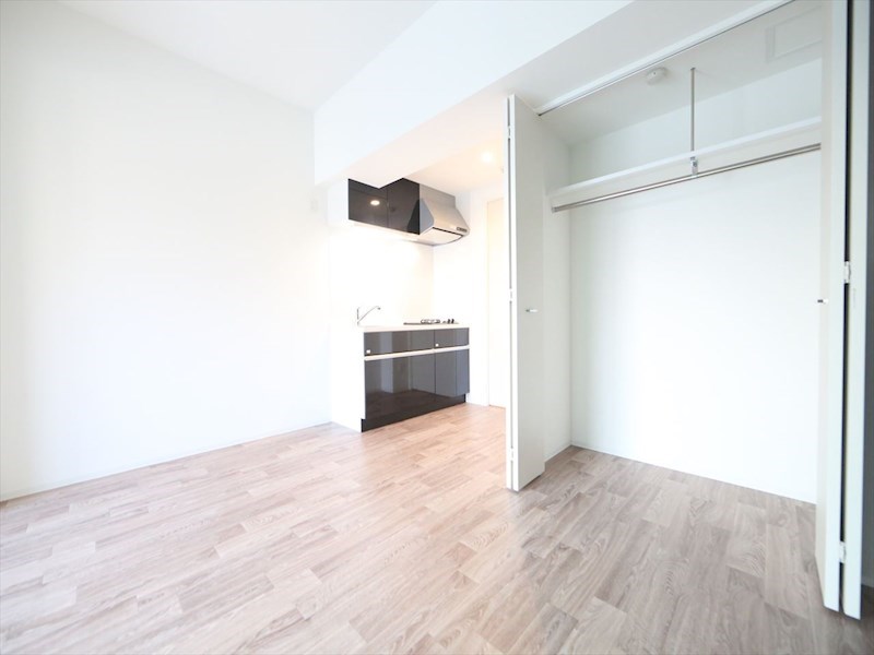 居室・リビング　ＬＤＫ8帖　システムキッチン　クローゼット付