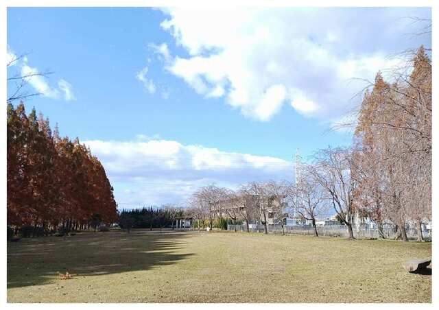 公園　石垣池公園（公園）まで210m