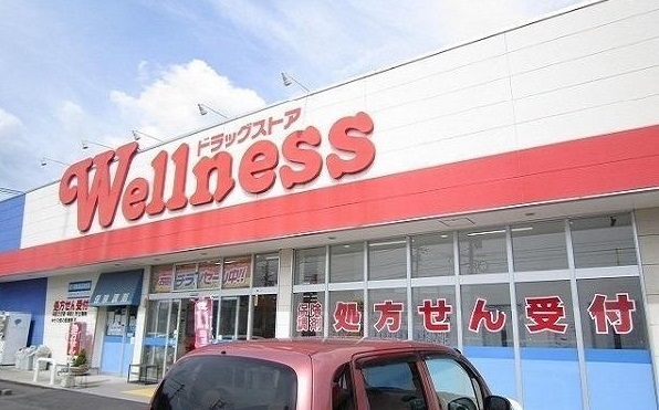 ドラックストア　ウェルネス春日店（ドラッグストア）まで600m
