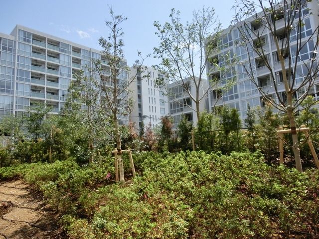 眺望　★季節の花や木々が楽しめるお部屋です★