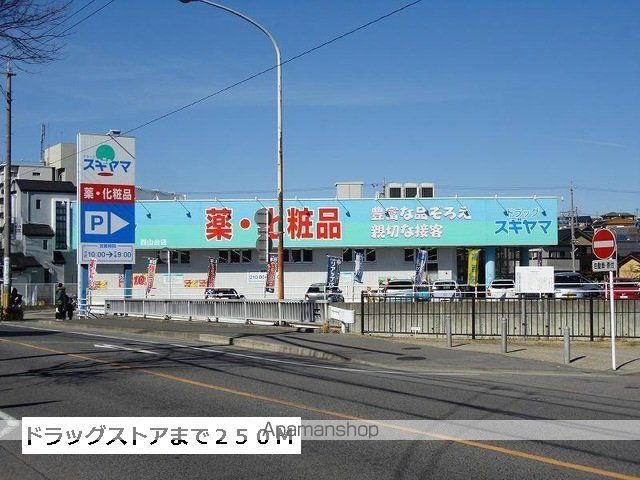ドラックストア　スギヤマ（ドラッグストア）まで250m