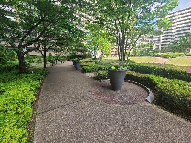 庭　居住者専用の中庭付き！