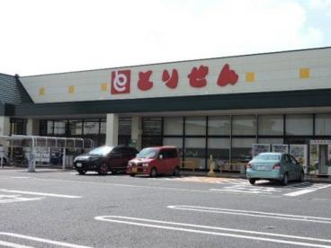 スーパー　とりせん前橋駒形店（スーパー）まで828m