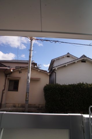 コートカトレアのその他写真