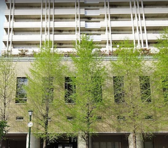 幼稚園・保育園　ポピンズナーサリー京橋（幼稚園・保育園）まで171m