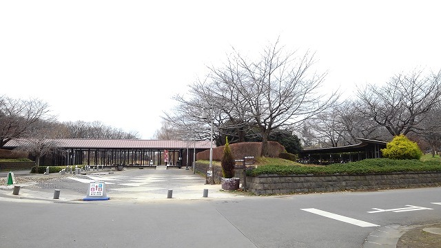 公園　古河公方公園（公園）まで650m