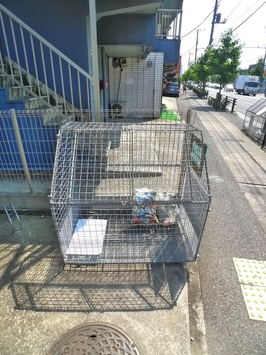フランネルハウスのその他写真