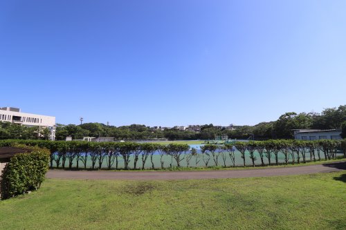 【サニービレッジの公園】