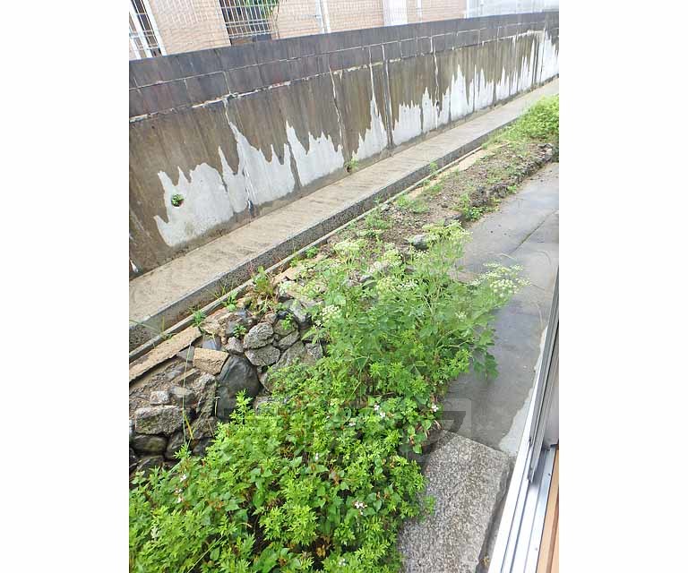 眺望　庭です。