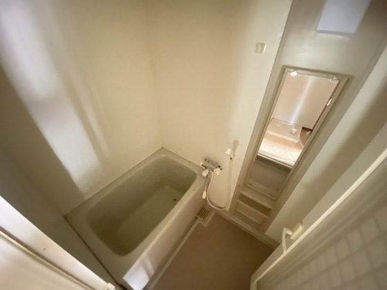 バス・シャワールーム　※別部屋の写真です