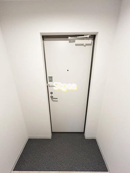 玄関　同シリーズ参考写真