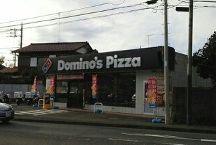 その他　ドミノピザ（その他）まで1100m