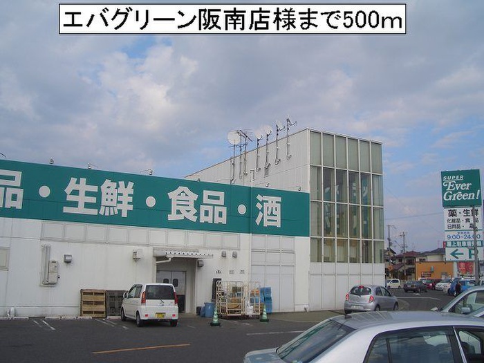 スーパー　エバーグリーン　阪南店（スーパー）まで500m