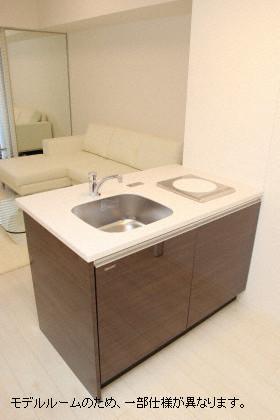 キッチン　家具家電等はつきません。イメージ画像です。