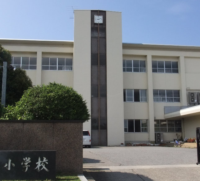 小学校　酒井根小学校（小学校）まで342m