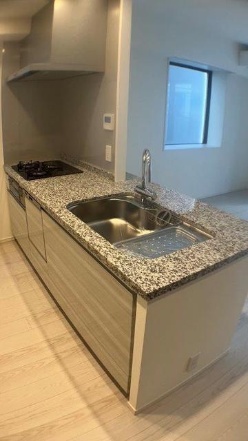 キッチン　ディスポーザー・食器洗浄乾燥機・浄水器付