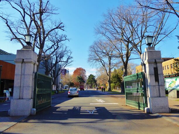 大学・短大　北海道大学医学部保健学科（大学・短大）まで1153m