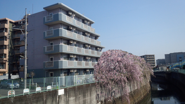 建物外観　アムール祥　外観写真