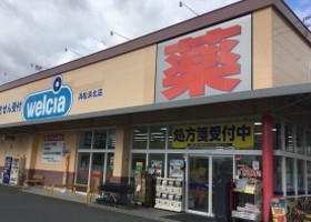 ドラックストア　Welcia(ウエルシア) 浜松浜北店（ドラッグストア）まで224m