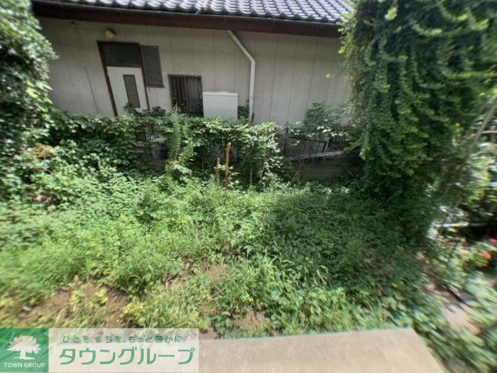 庭