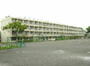 小学校　府中市立白糸台小学校（小学校）まで285m