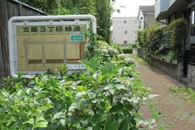 公園　文蔵緑道（公園）まで359m