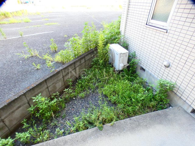 庭