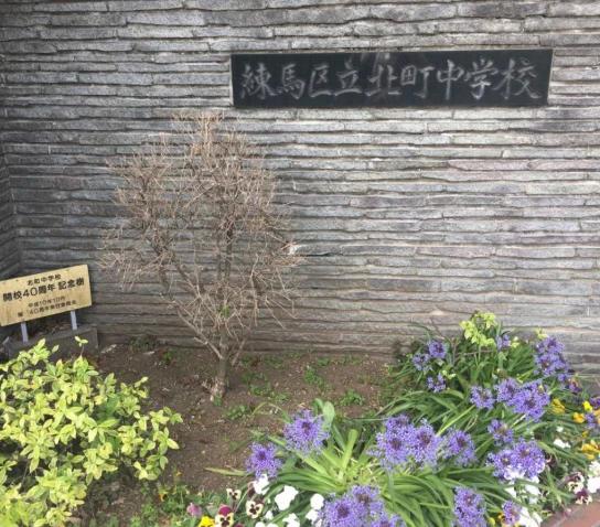 中学校　練馬区立北町中学校（中学校）まで711m