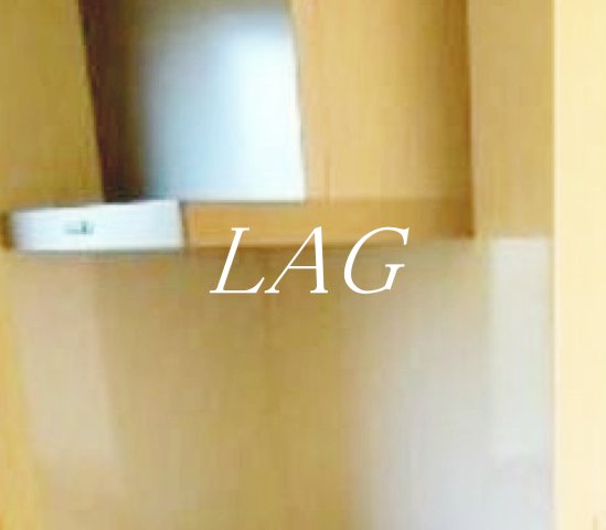 その他設備　レンジフードです。