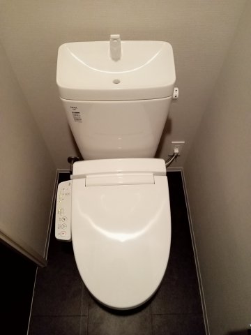 小田急線 向ケ丘遊園駅 徒歩3分 10階建 築4年のトイレ写真