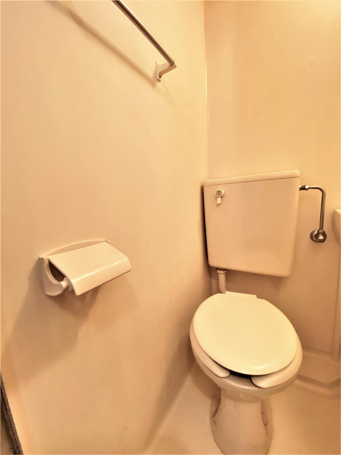 春とひだまりのアメリアのトイレ写真