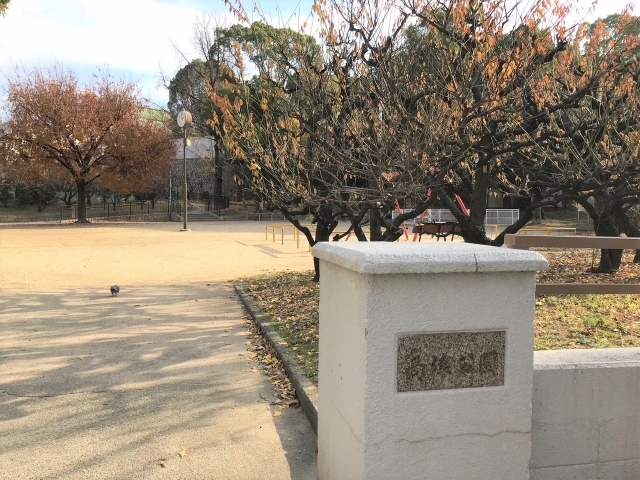 ピュアサクラ松屋町の周辺写真