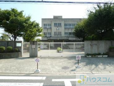 小学校　茨木市立白川小学校（小学校）まで195m