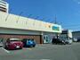 ドラックストア　ゲンキー 八田店（ドラッグストア）まで480m