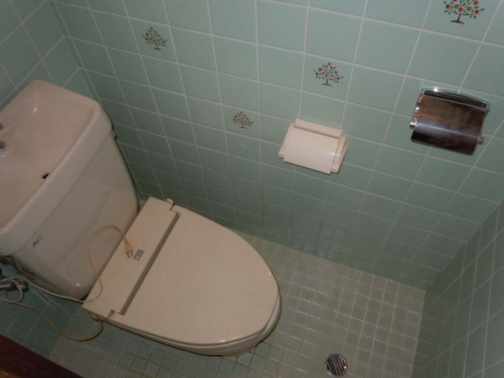 近鉄奈良線 生駒駅 徒歩12分 2階建 築33年のトイレ写真
