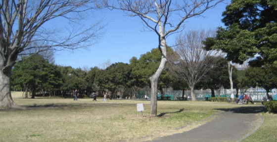 【ヴィラ長者町の公園】