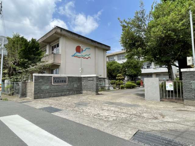 小学校　都城市立大王小学校（小学校）まで493m