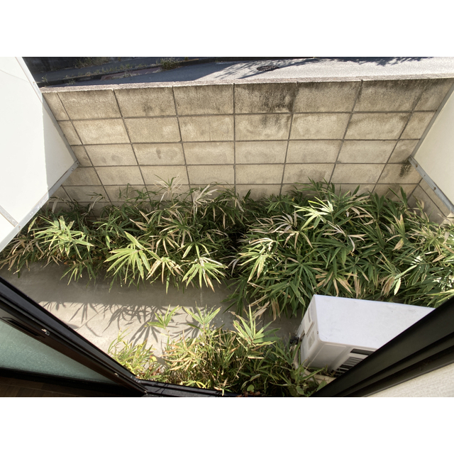 ニューハイムスダ_その他_2