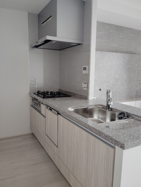 キッチン　食器洗浄機付