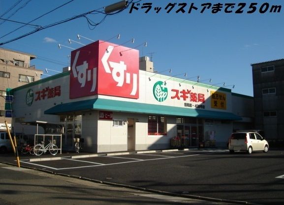 ドラックストア　スギ薬局（ドラッグストア）まで250m