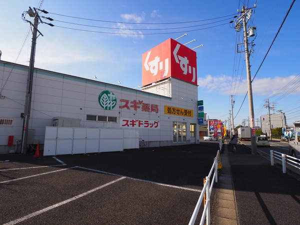 ドラックストア　スギ薬局篠木店（ドラッグストア）まで345m