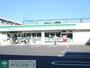 コンビニ　ファミリーマート（コンビニ）まで230m