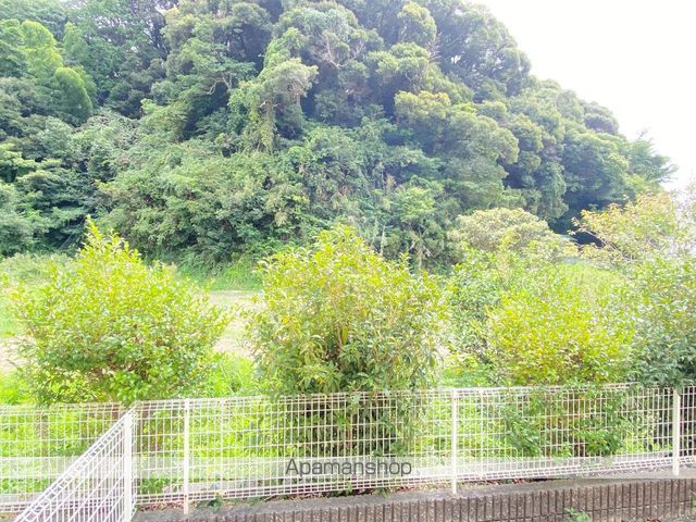 眺望　眺望