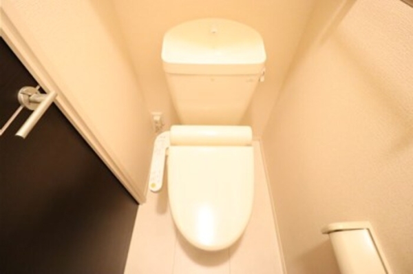 トイレ　同建物別部屋写真