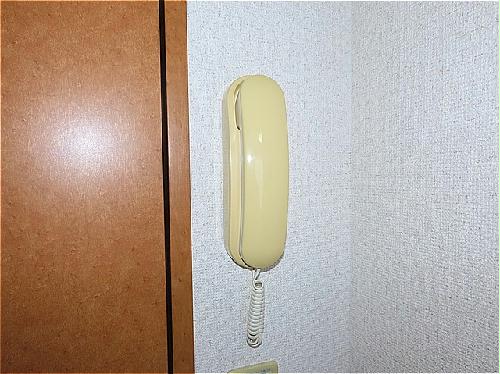 セキュリティ　インターホンあり