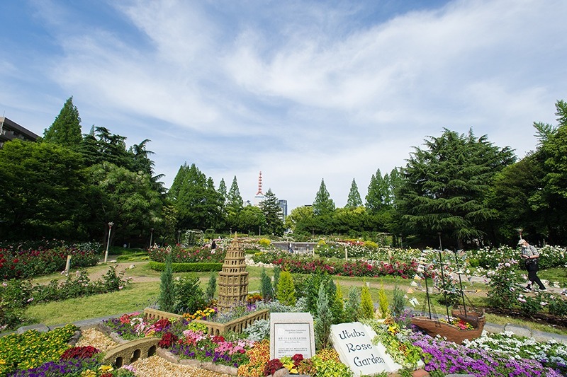 【エスライズ西本町の公園】