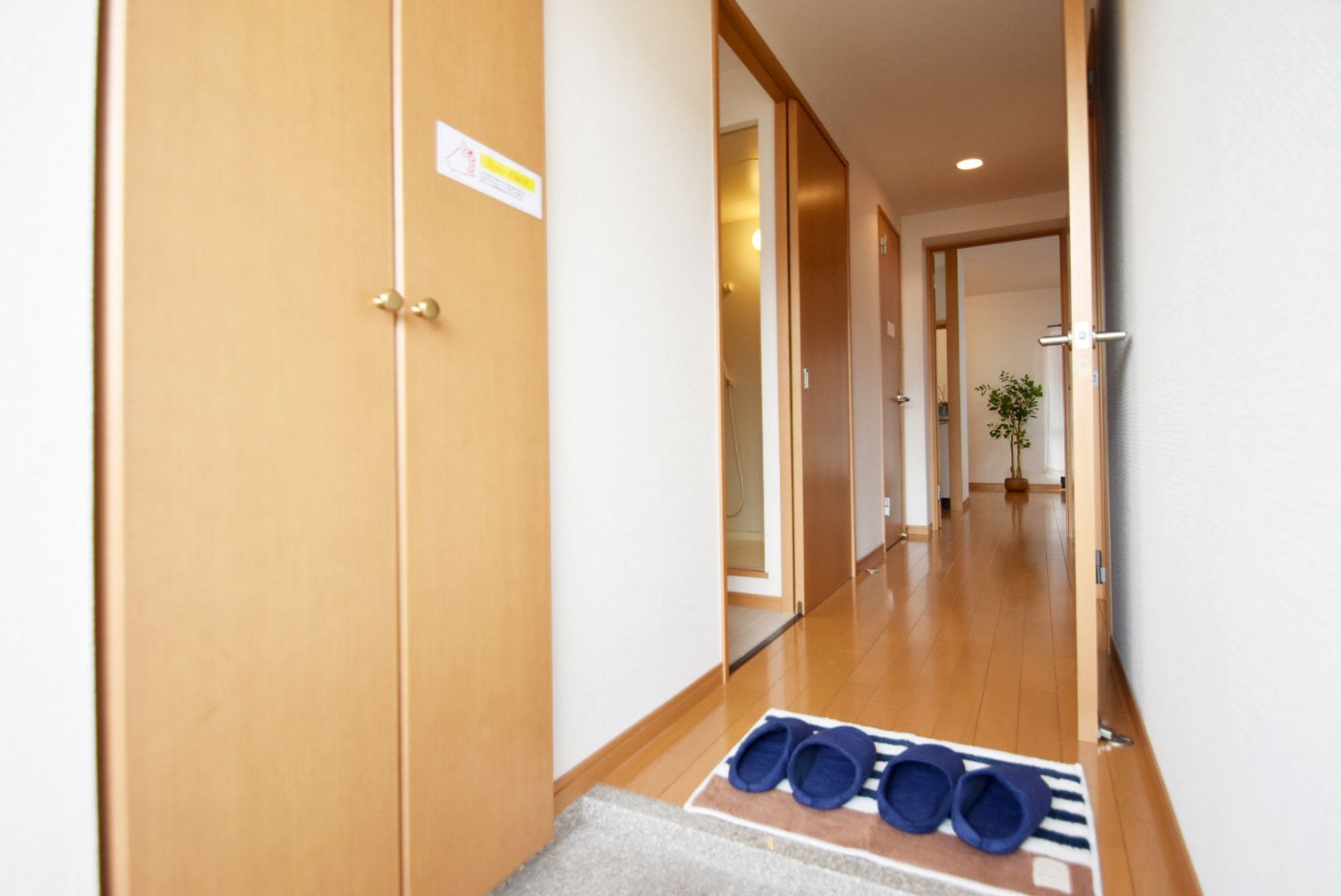 玄関　シューズボックス付きの玄関です☆