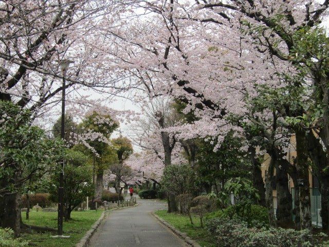 公園　旧呑川緑地（公園）まで2330m