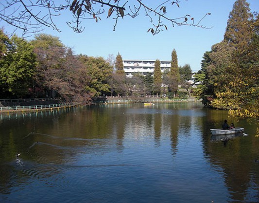 公園　武蔵関公園（公園）まで1025m